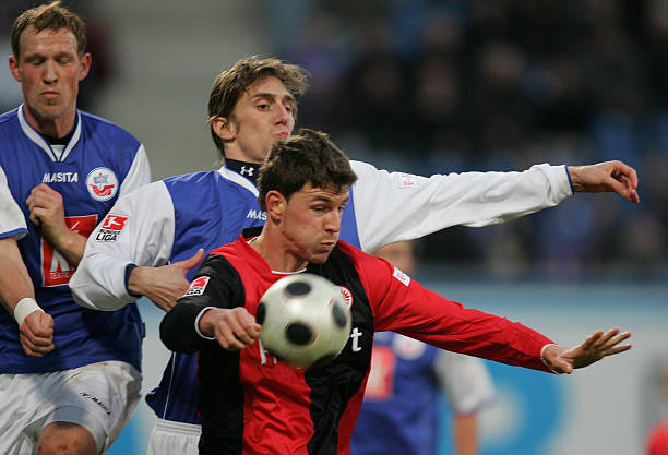 塔图姆的场 塔图姆的场